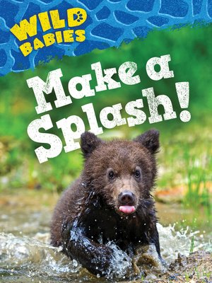cover image of Make a Splash!